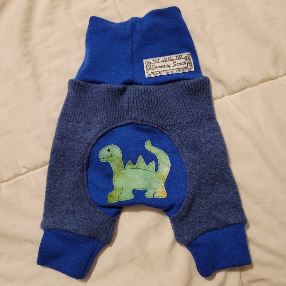 COPY - Recycled Dinosaur Merino Wool Shorties